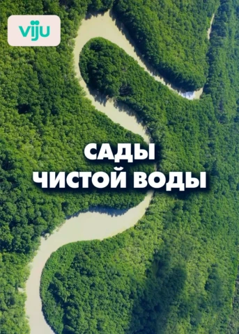 Серия 1