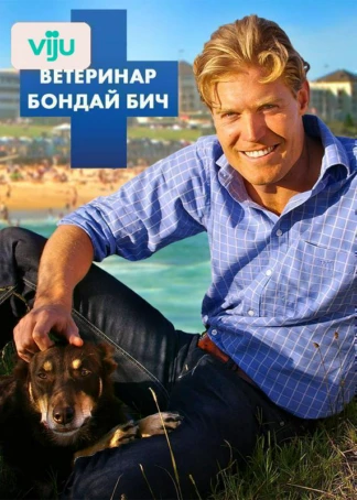 Ветеринар Бондай Бич