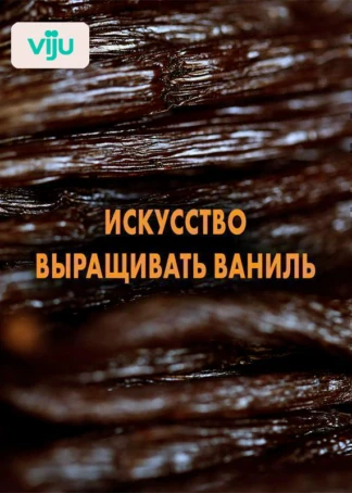 Искусство выращивать ваниль