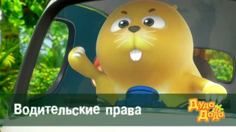 Серия 25. Водительские права
