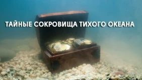 Трейлер 1