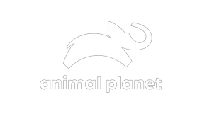 Animal Planet