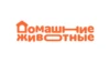 Домашние животные