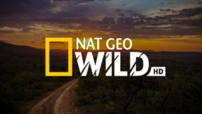 Nat Geo Wild
