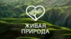 Живая природа
