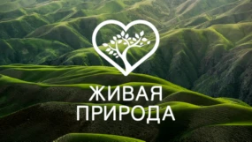 Живая природа