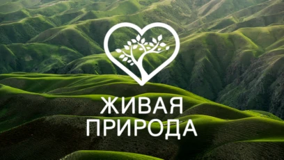 Живая природа