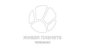 Живая Планета