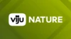 viju Nature