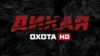 Дикая охота