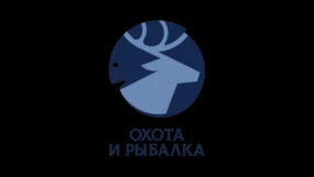 Охота и рыбалка