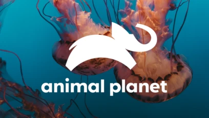 Animal Planet