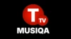 TTV musiqa