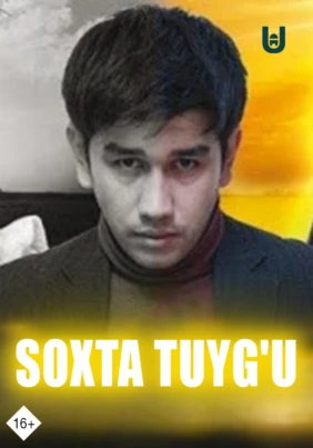 Soxta luyg'u