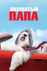 Паҳмоқ ота