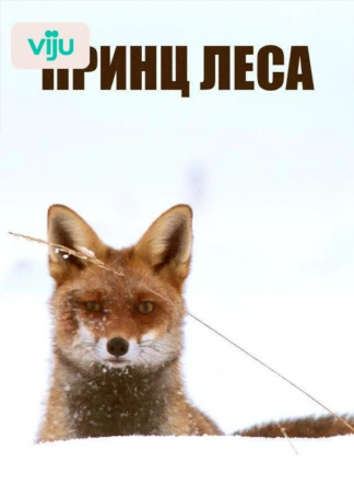 Принц леса