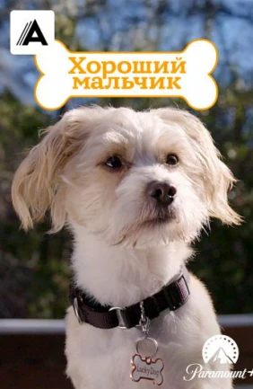 Хороший мальчик