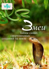 Змеи. Тайны самых смертоносных созданий на земле