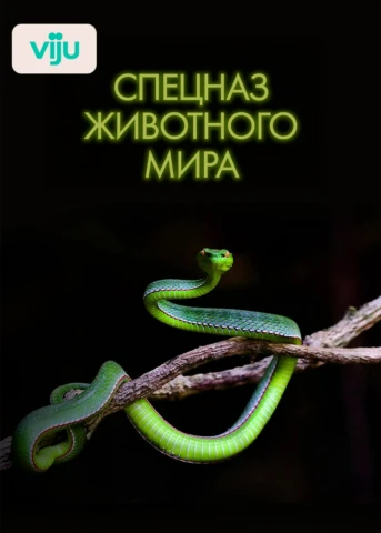 1 серия