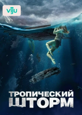 Тропический шторм