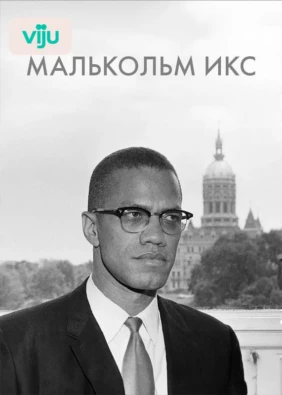 Малькольм Икс