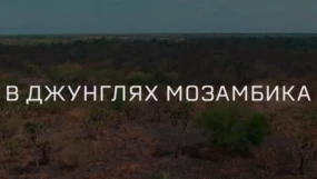 1-я серия