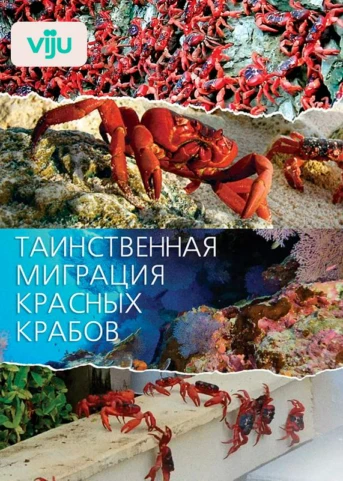 1 серия
