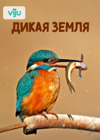 Дикая земля