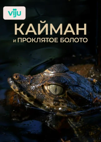 Кайман и проклятое болото
