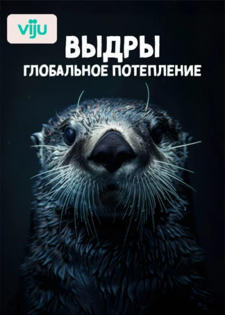 Выдры, глобальное потепление