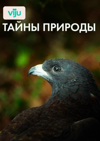 1 серия