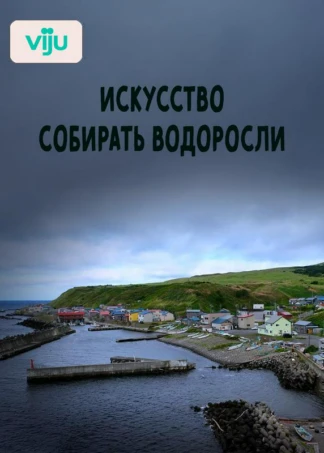 Искусство собирать водоросли