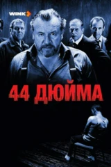 44 дюйма