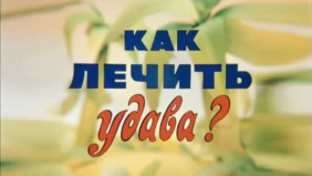 Трейлер 1