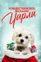 Рождественское желание Чарли