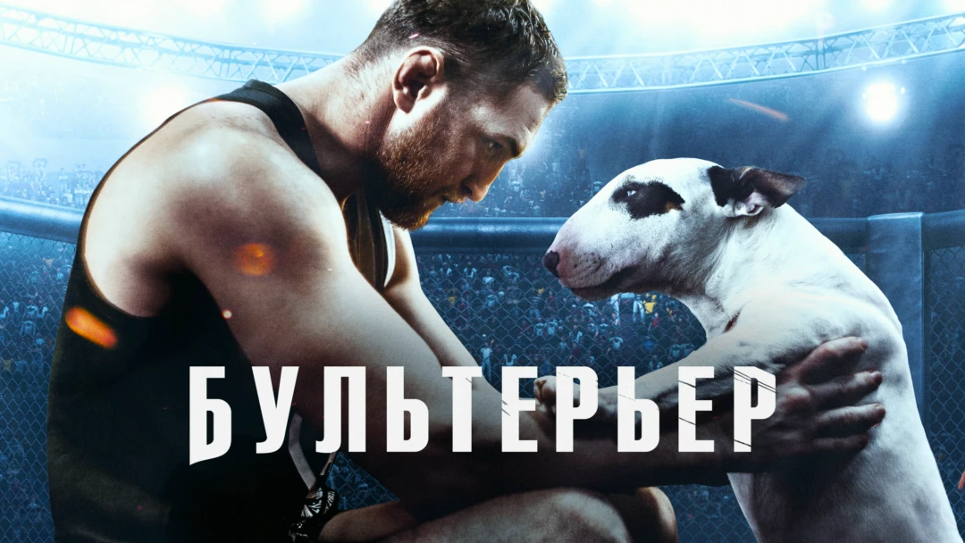 Фильм Бультерьер