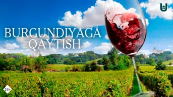 Burgundiyaga qaytish