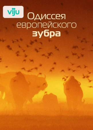 Одиссея европейского зубра