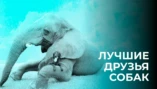 1 серия