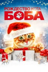 Рождество кота Боба