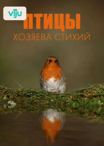 Стихия воздуха