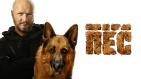 Трейлер 1