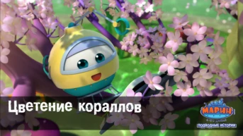 Серия 7. Цветение кораллов