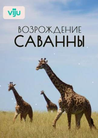 Возрождение Саванны