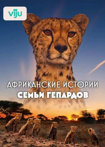 1 серия