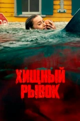 Yirtqich akula hujumi