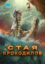 Стая крокодилов