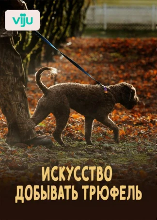 Искусство добывать трюфель