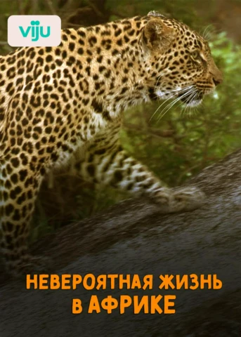 Настоящие хозяева Саванны