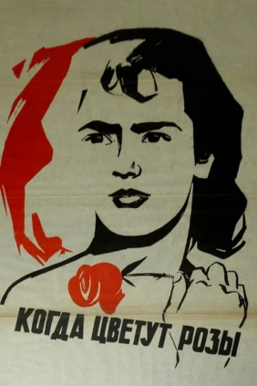 Когда цветут розы